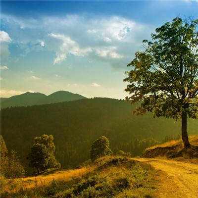 ag入口官网登录下载手机版截图